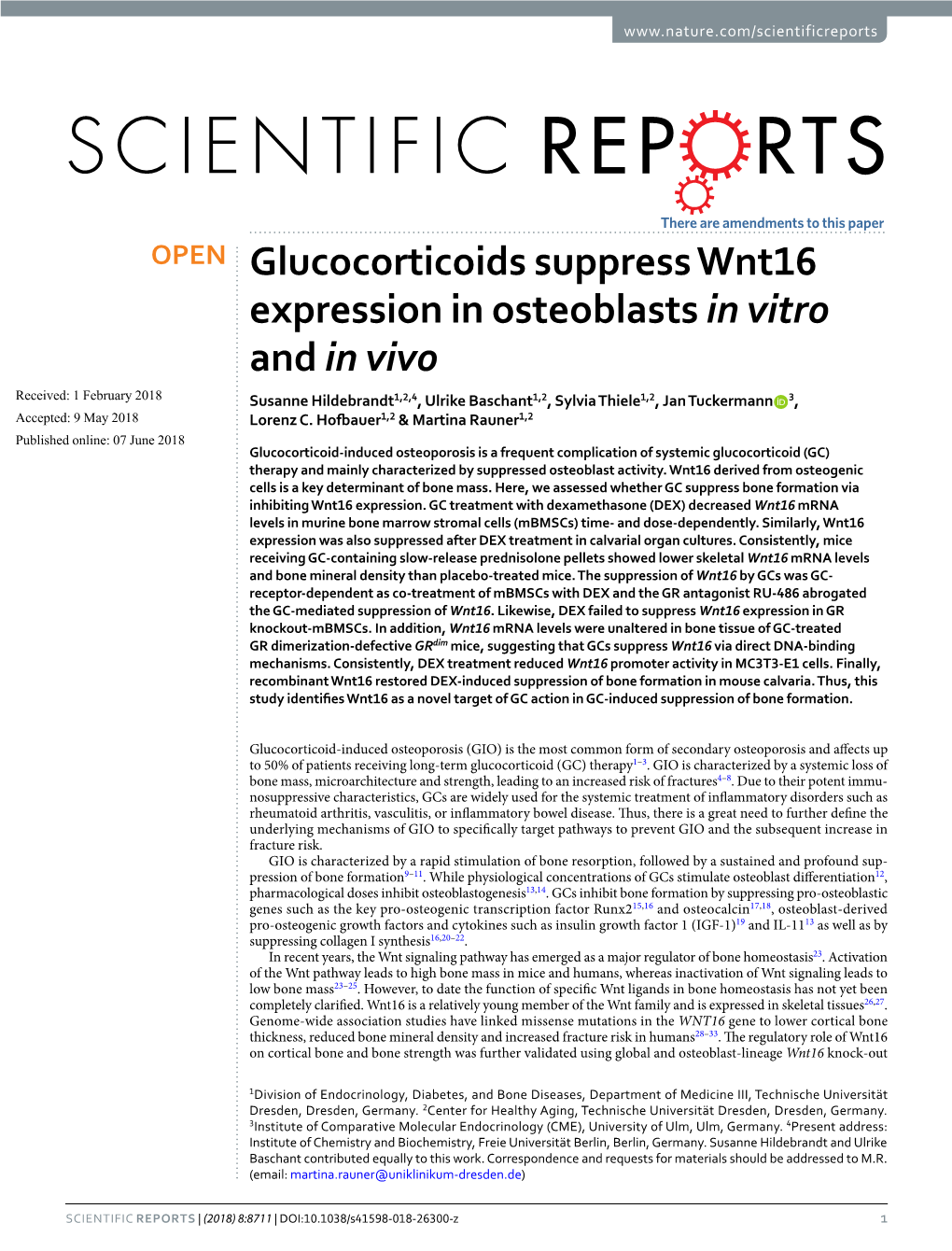 Glucocorticoids Suppress Wnt16 Expression in Osteoblasts in Vitro