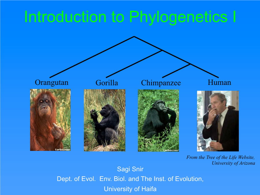 Introduction to Phylogenetics I