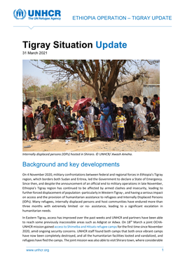 Tigray Situation Update 31 March 2021