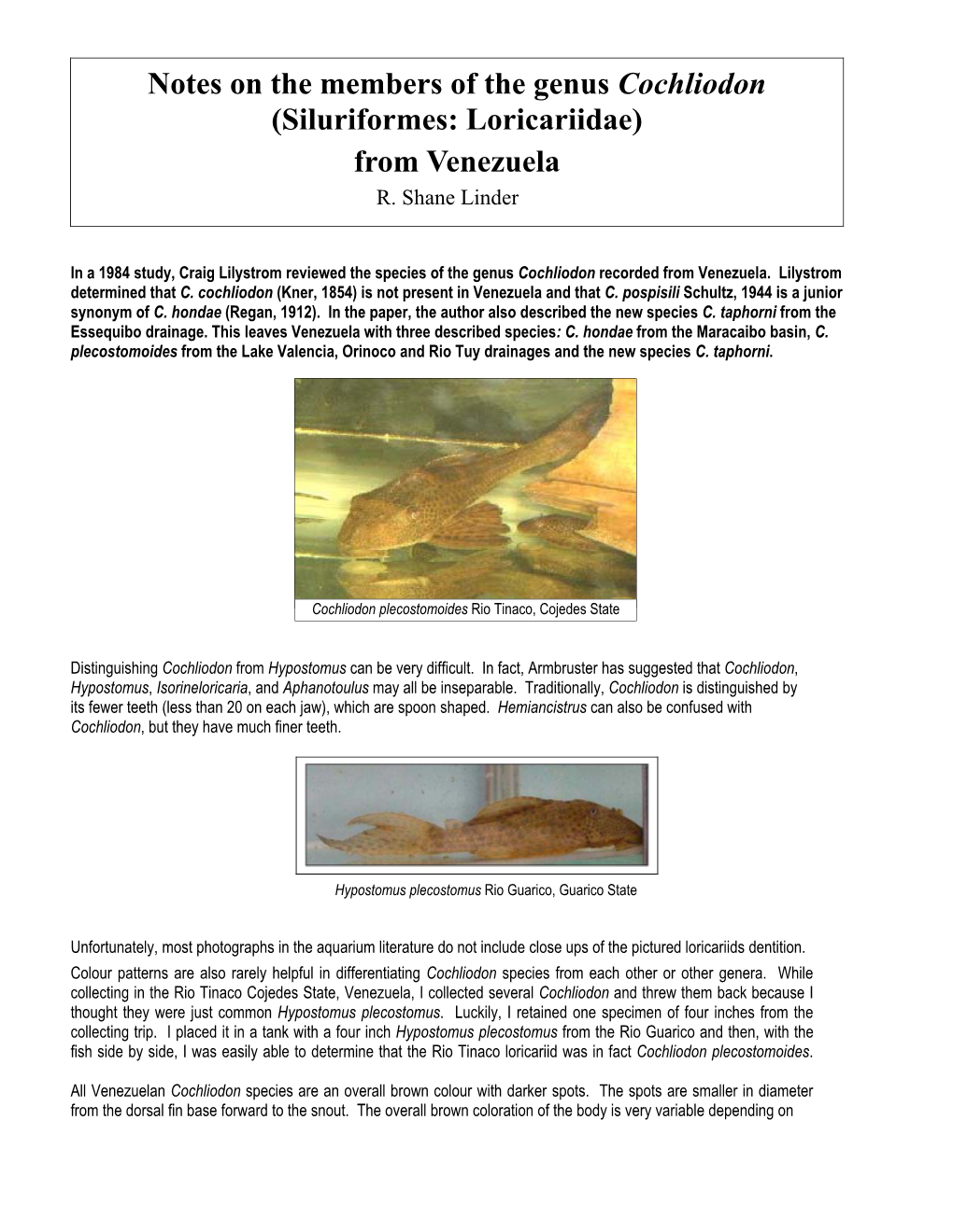 Notes on the Members of the Genus Cochliodon (Siluriformes: Loricariidae) from Venezuela R