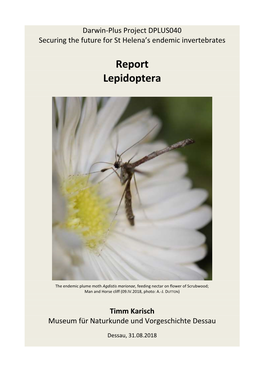 Timm Karisch Lepidoptera Report 2018