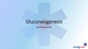 Gluconeogenesis Karoline Hanevik Overview