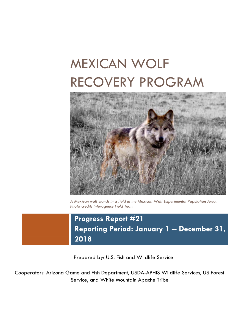 Mexican Wolf Recovery Program