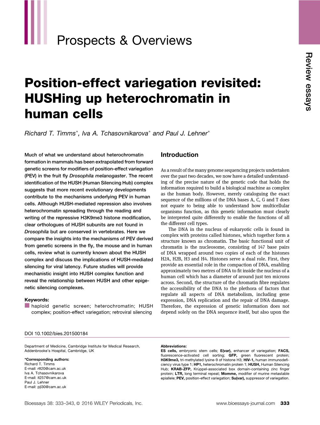 Position‐Effect Variegation Revisited