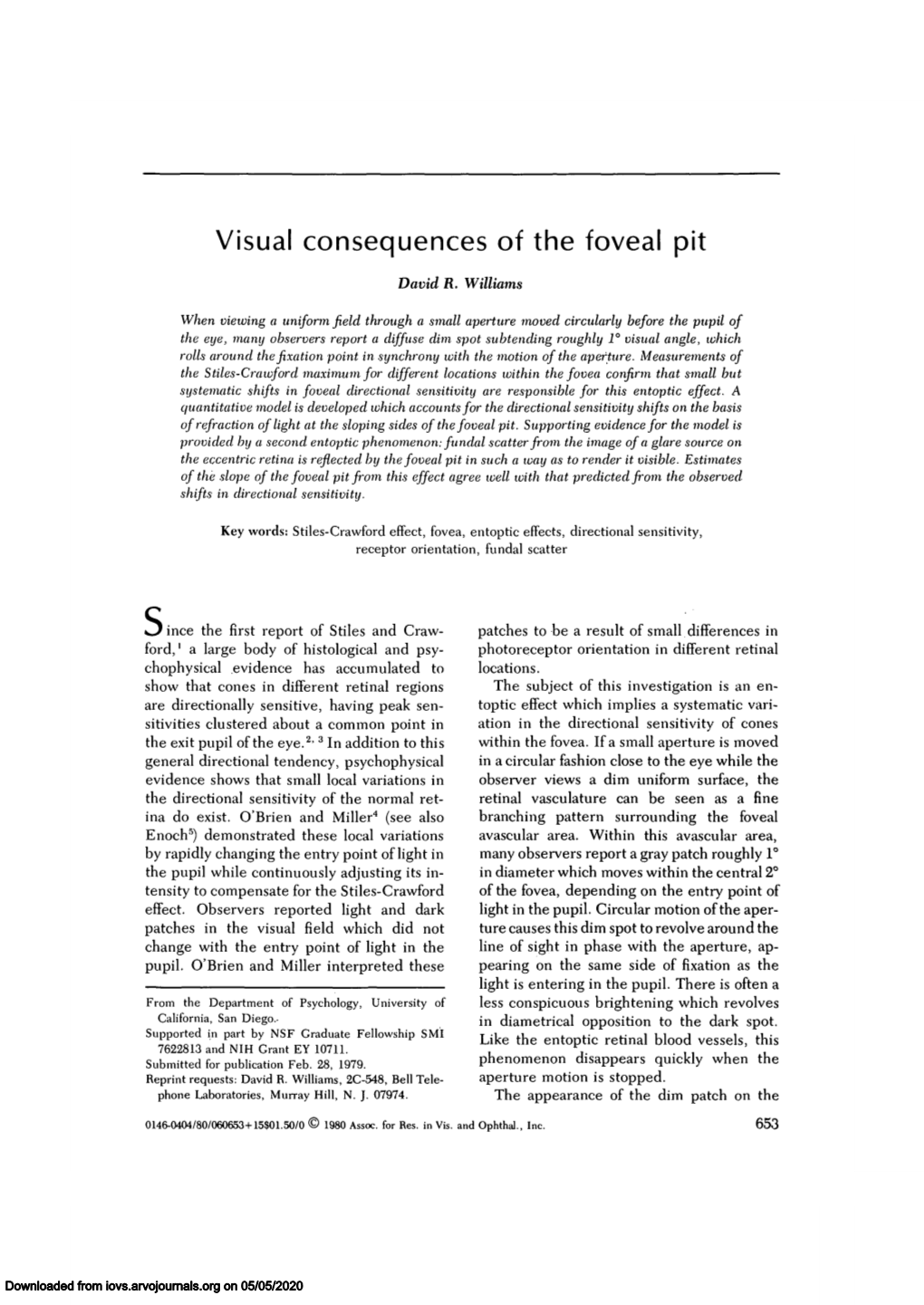 Visual Consequences of the Foveal Pit