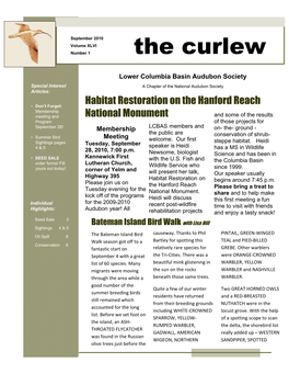 The Curlew Page 1 of 9