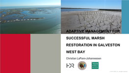 Adaptive Management for Successful Marsh Restoration in Galveston West Bay