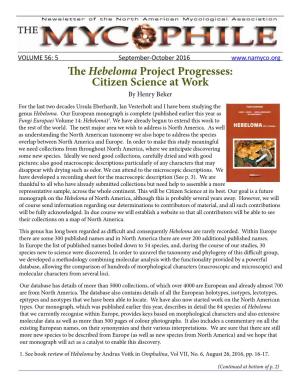 The Hebeloma Project Progresses