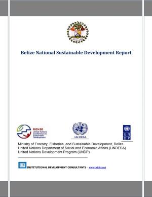 Belize National Sustainable Development Report