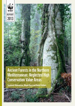 Ancient Forests in the Northern Mediterranean: Neglected High Conservation Value Areas