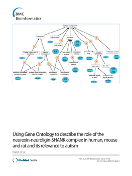 Using Gene Ontology to Describe the Role of the Neurexin-Neuroligin-SHANK Complex in Human, Mouse and Rat and Its Relevance to Autism Patel Et Al