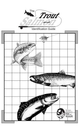Trout Salmonand Identification Guide