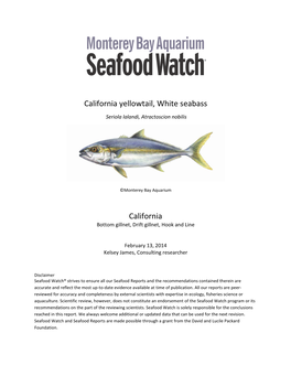 California Yellowtail, White Seabass California