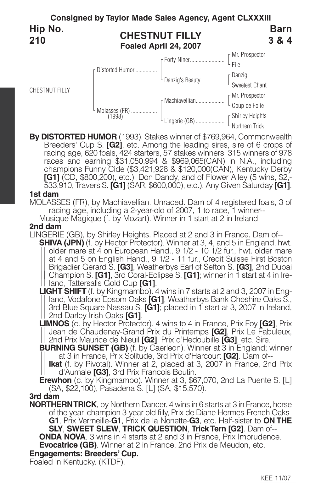 CHESTNUT FILLY Barn 3&4 Hip No