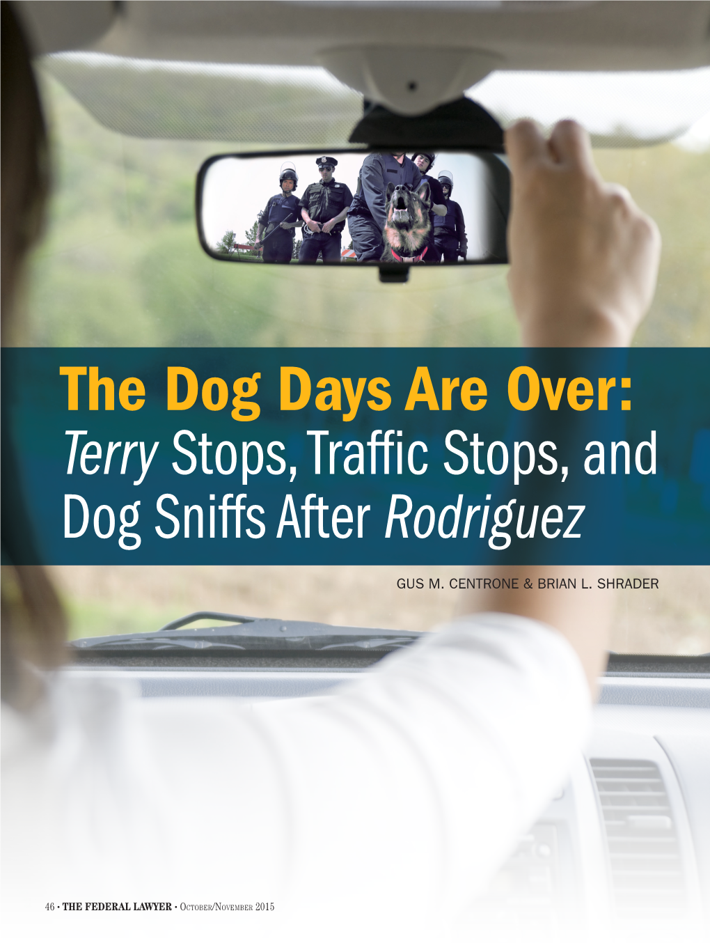 The Dog Days Are Over: Terry Stops, Traffic Stops, and Dog Sniffs After Rodriguez