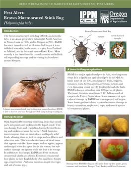 Pest Alert: Brown Marmorated Stink Bug Halyomorpha Halys