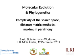 Molecular Evolution & Phylogenetics