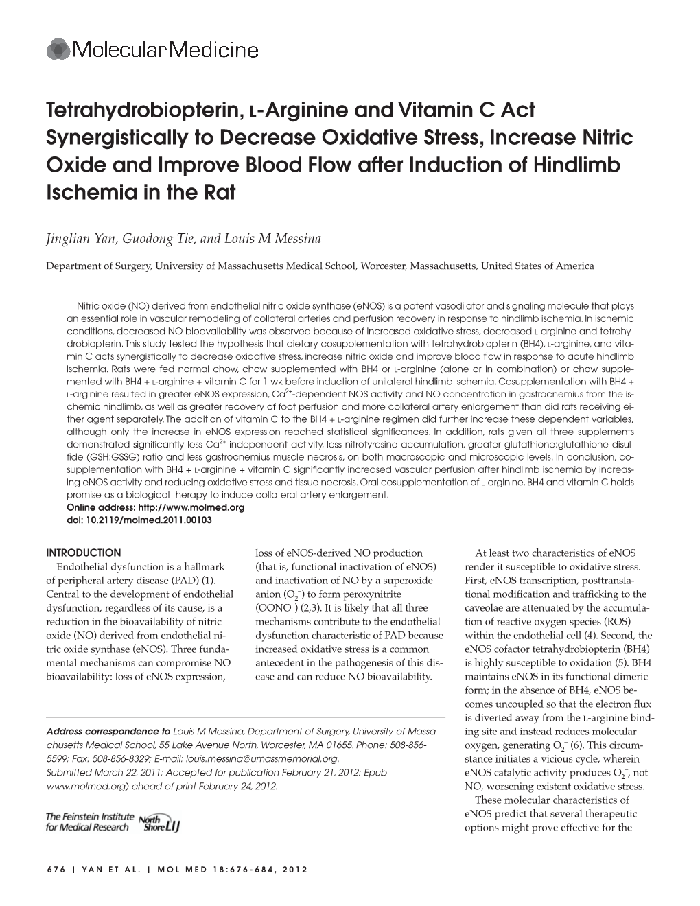 Tetrahydrobiopterin, L-Arginine and Vitamin C Act Synergistically To