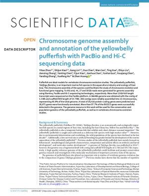 Chromosome Genome Assembly and Annotation of the Yellowbelly