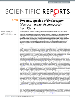 Two New Species of Endocarpon (Verrucariaceae, Ascomycota)