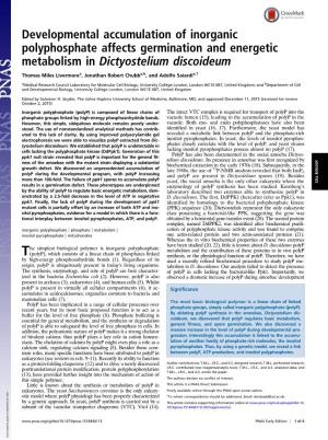 Developmental Accumulation of Inorganic Polyphosphate Affects Germination and Energetic Metabolism in Dictyostelium Discoideum
