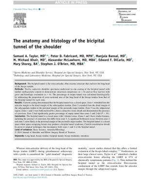 The Anatomy and Histology of the Bicipital Tunnel of the Shoulder