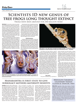 Scientists ID New Genus of Tree Frogs Long Thought Extinct ‘Frogs Have Been Around for 350 Million Years’