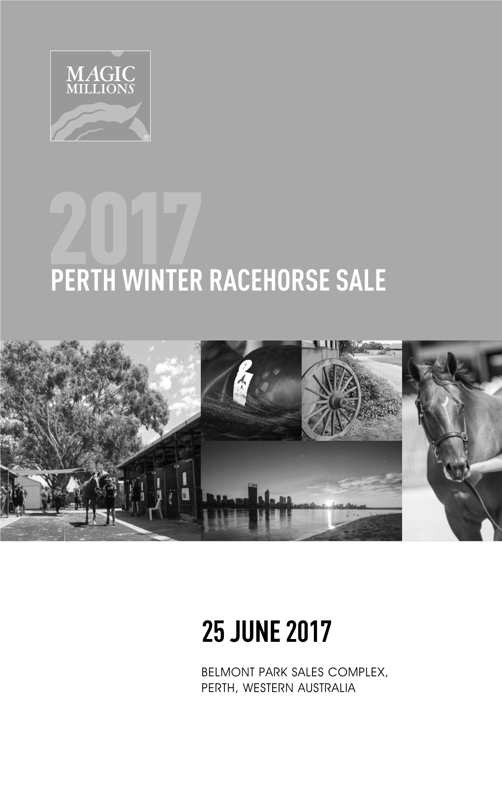 Perth Winter Racehorse Sale 25 June 2017