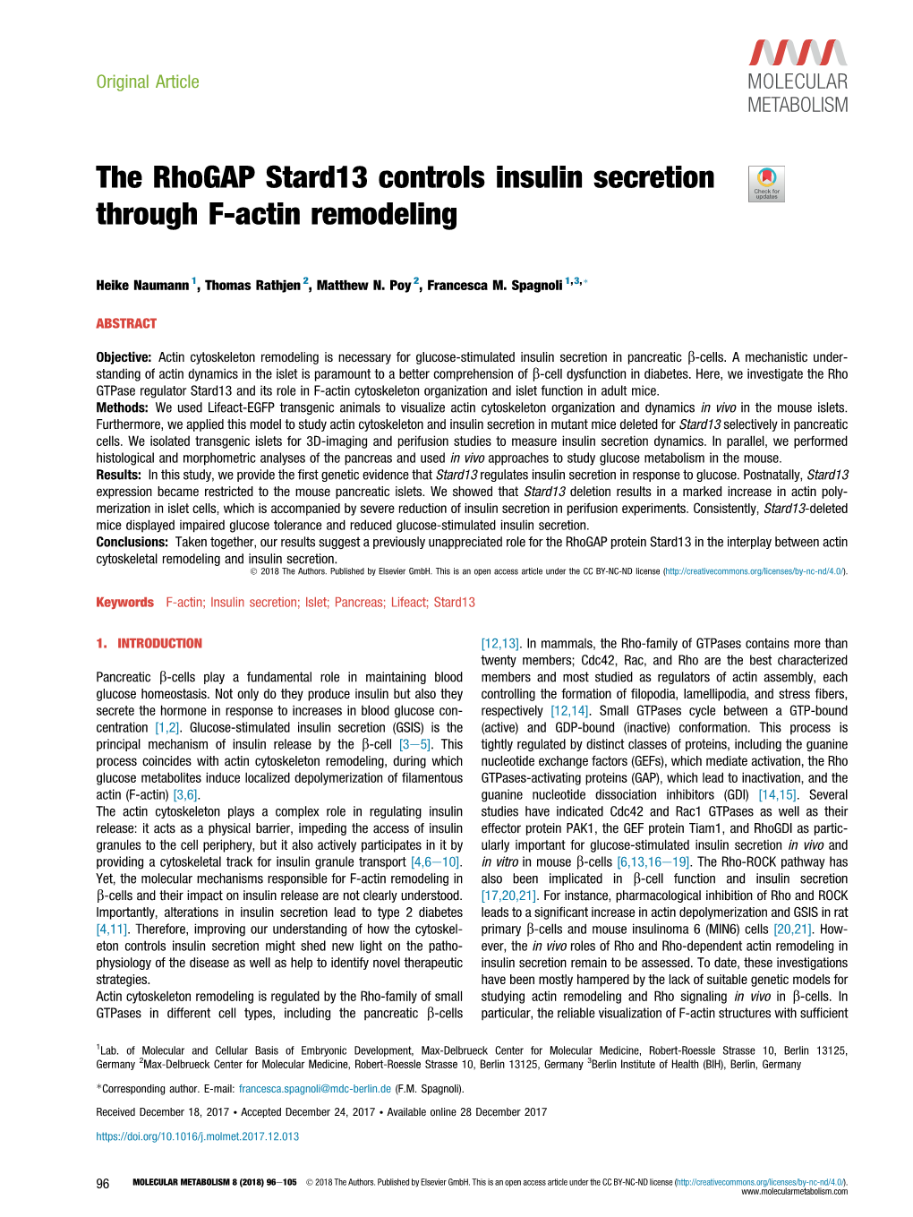 The Rhogap Stard13 Controls Insulin Secretion Through F-Actin Remodeling