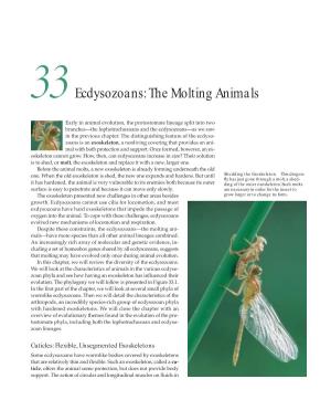 Ecdysozoans: the Molting Animals