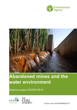 Abandoned Mines and the Water Environment