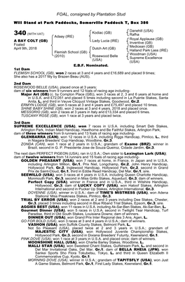 FOAL, Consigned by Plantation Stud