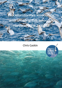 Procellariiformes Associating with Shoaling Fish Schools – Northern New Zealand