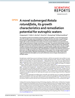 A Novel Submerged Rotala Rotundifolia, Its Growth Characteristics And