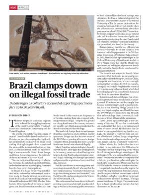 Brazil Clamps Down on Illegal Fossil Trade