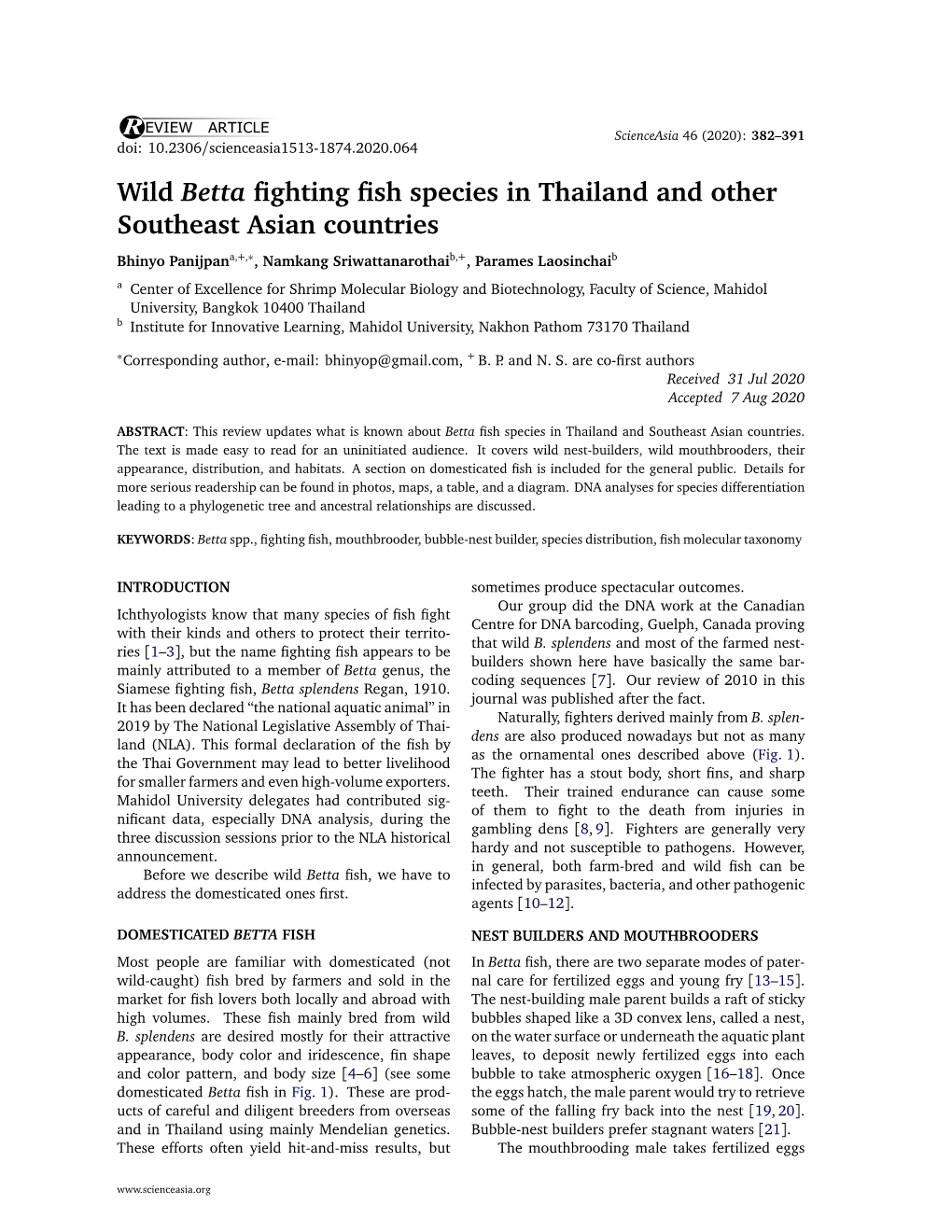 Wild Betta Fighting Fish Species in Thailand and Other Southeast Asian