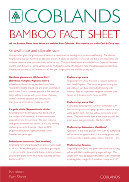 BAMBOO FACT SHEET All the Bamboo Plants Listed Below Are Available from Coblands