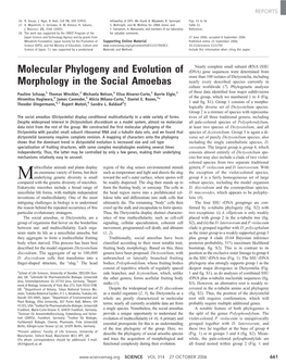 Molecular Phylogeny and Evolution of Morphology in the Social Amoebas