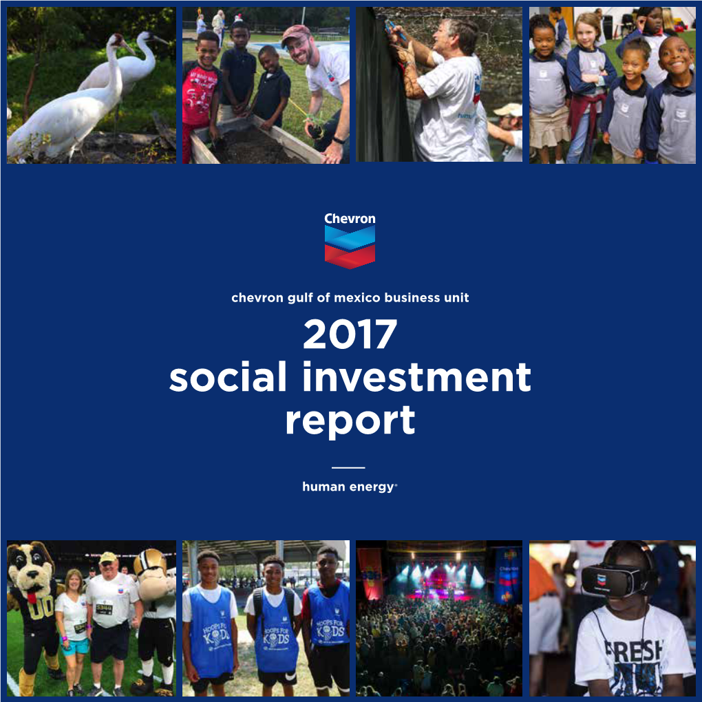 2017 Social Investment Report Message from VP a Message from Our Vice President Industry Overview