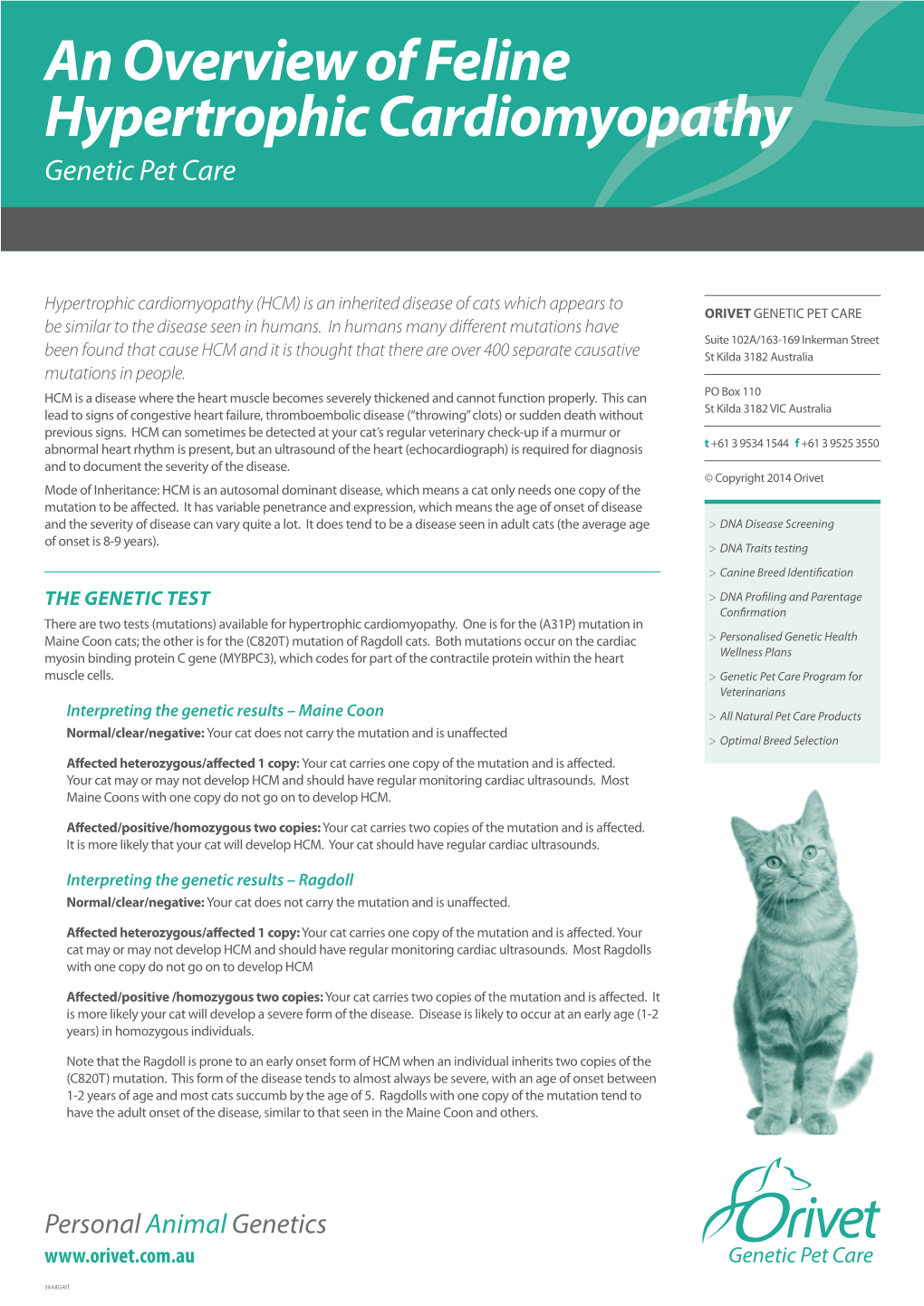 An Overview of Feline Hypertrophic Cardiomyopathy Genetic Pet Care