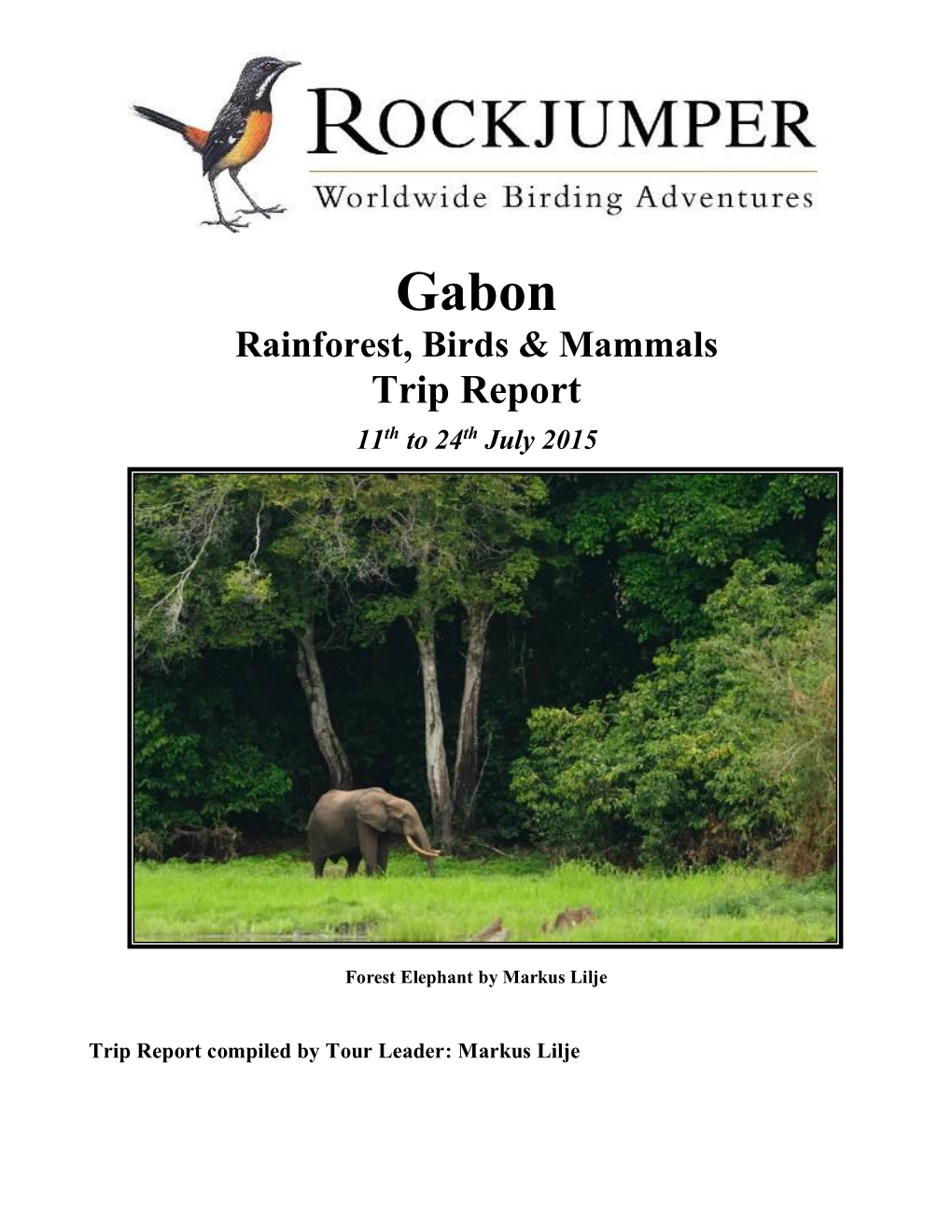 Gabon Rainforest, Birds & Mammals Trip Report