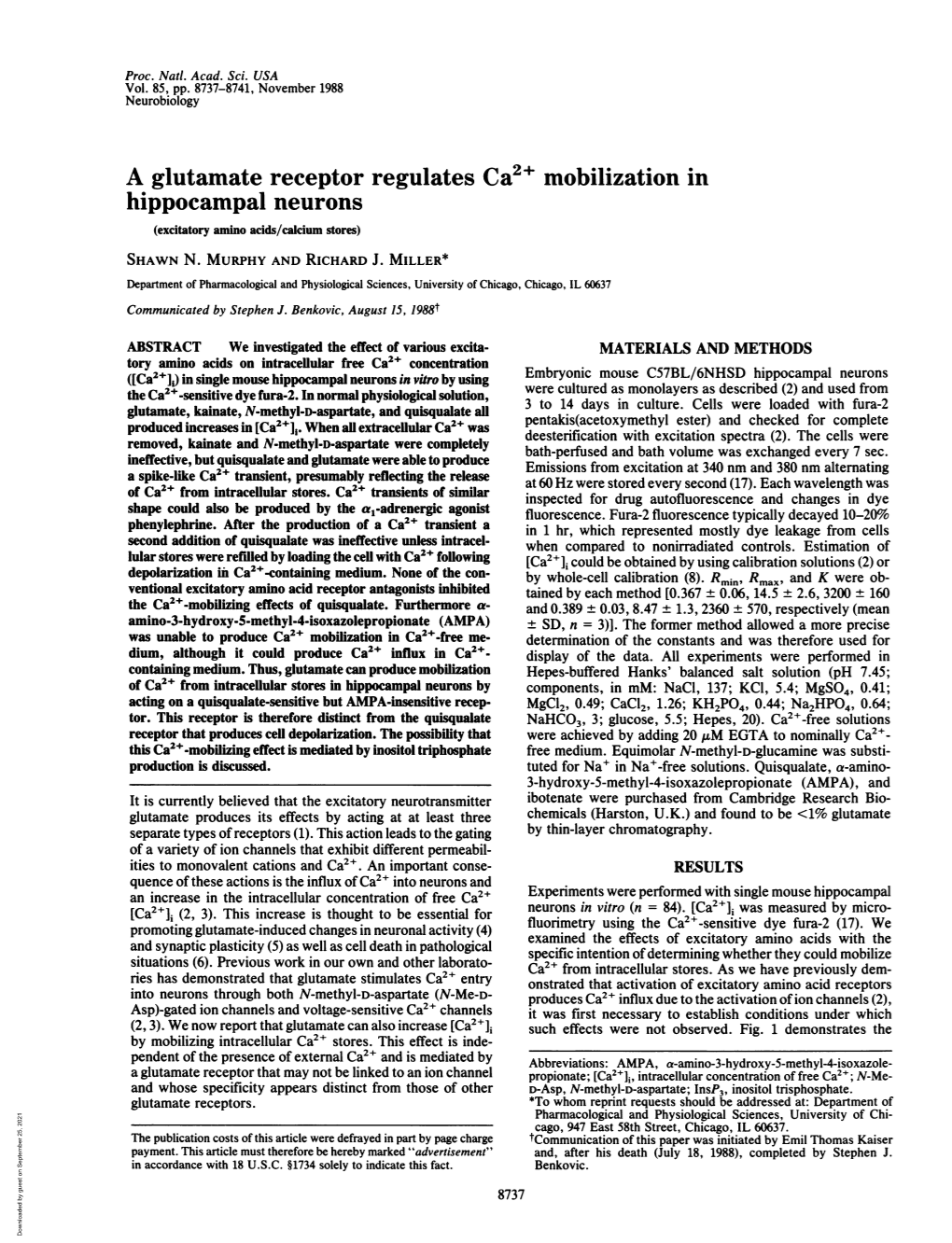A Glutamate Receptor Regulates Ca2" Mobilization in Hippocampal Neurons (Excitatory Amino Acids/Calcium Stores) SHAWN N