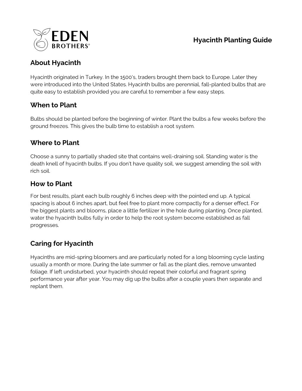 Hyacinth Planting Guide