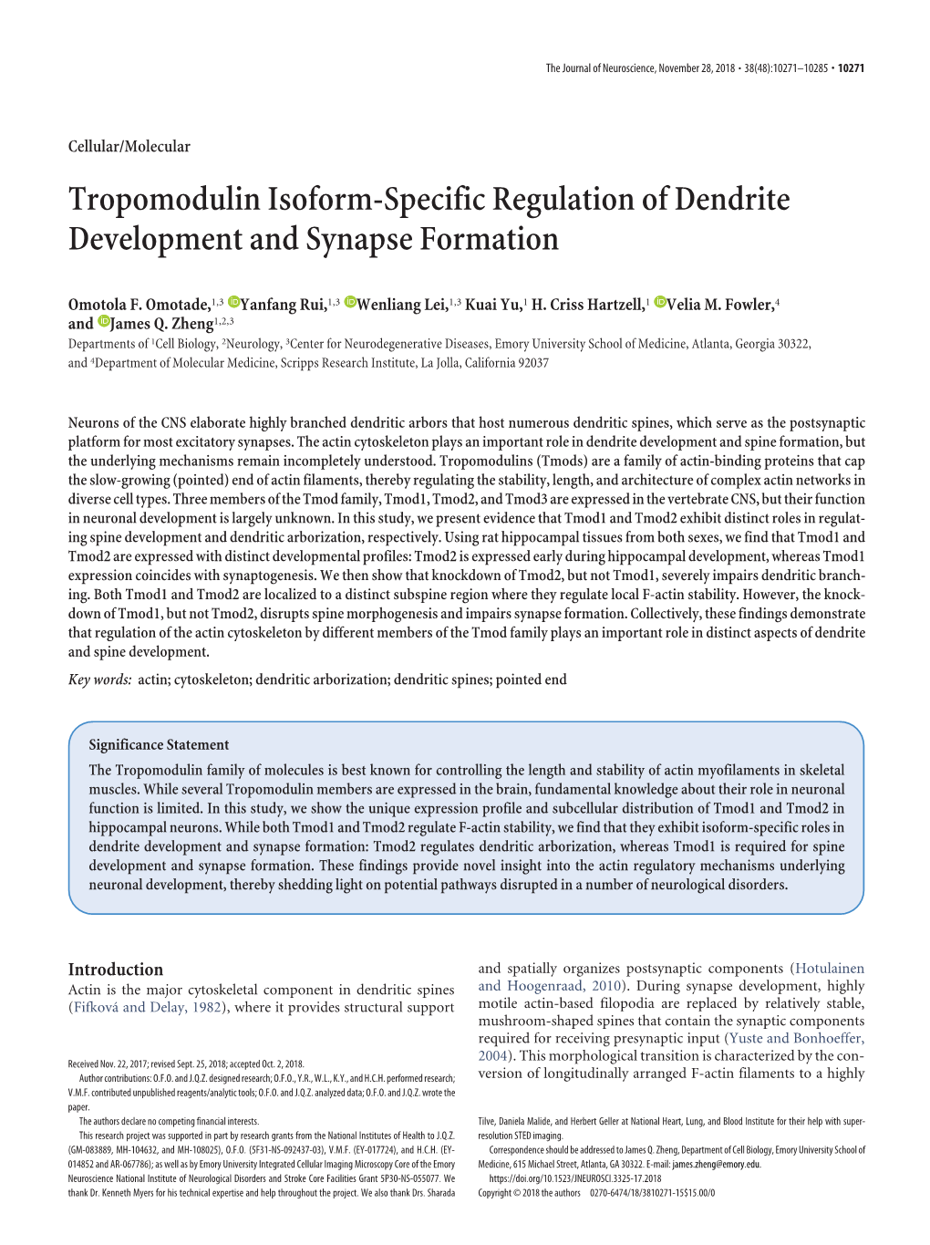 Tropomodulin Isoform-Specific Regulation of Dendrite Development and Synapse Formation