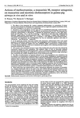 Actions of Methoctramine, a Muscarinic M2 Receptor Antagonist, on Muscarinic and Nicotinic Cholinoceptors in Guinea-Pig Airways in Vivo and in Vitro N