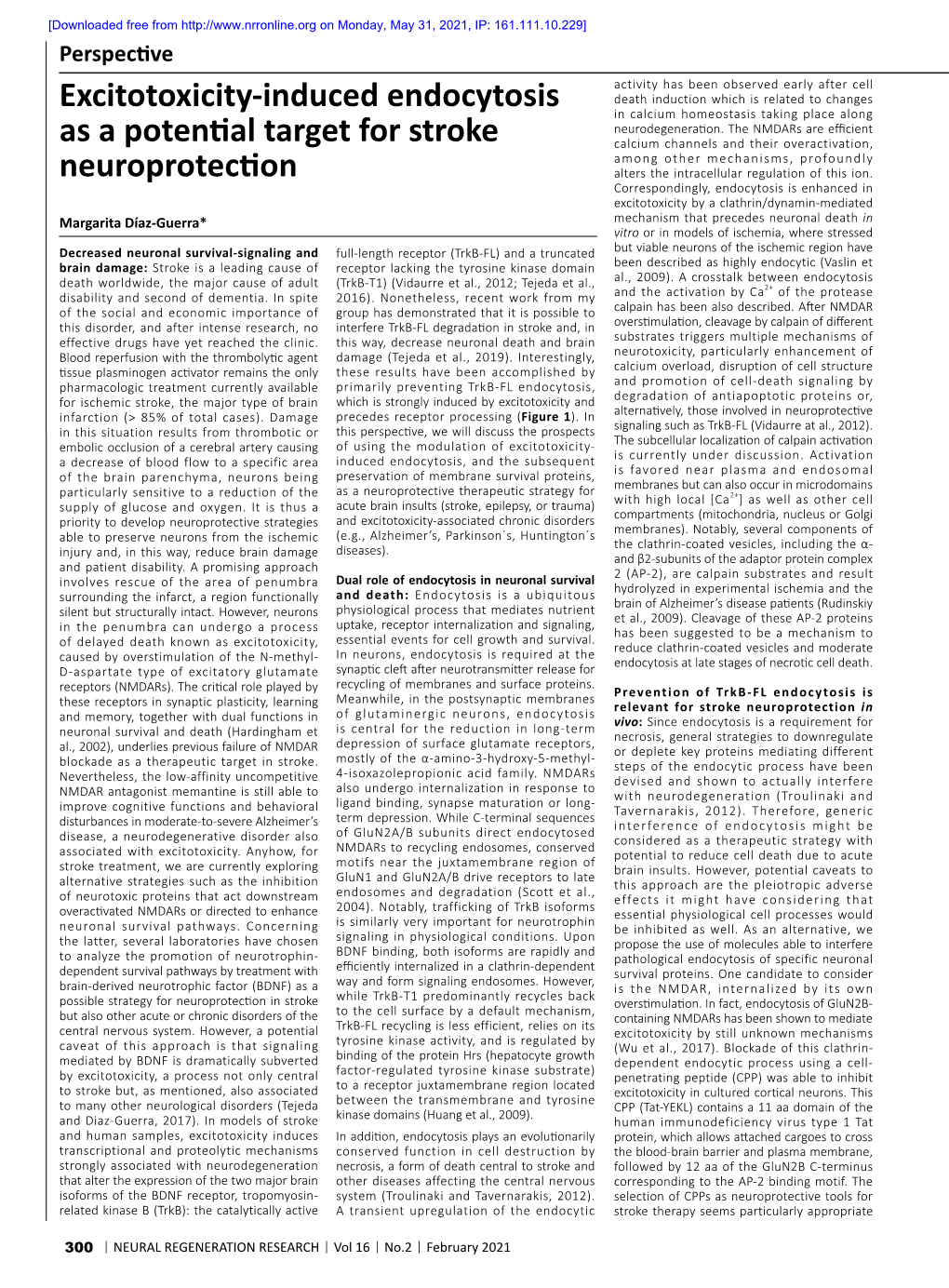 Excitotoxicity-Induced Endocytosis As a Potential Target for Stroke