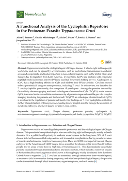A Functional Analysis of the Cyclophilin Repertoire in the Protozoan Parasite Trypanosoma Cruzi