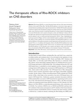The Therapeutic Effects of Rho-ROCK Inhibitors on CNS Disorders