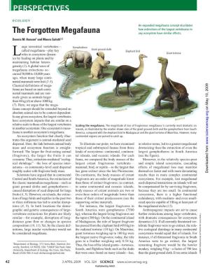 The Forgotten Megafauna Any Ecosystem Have Similar Effects