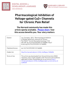 Pharmacological Inhibition of Voltage-Gated Ca2+ Channels for Chronic Pain Relief